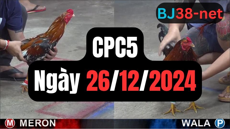 Trực tiếp đá gà thomo bồ CPC5 ngày 26-12-2024